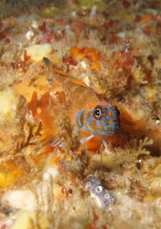 P1140032_.JPG