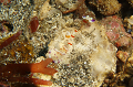P3040015__thumb.png
