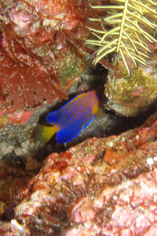 P3040022_.jpg