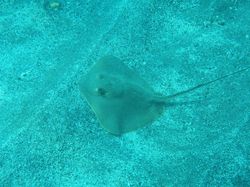 P3040093.jpg
